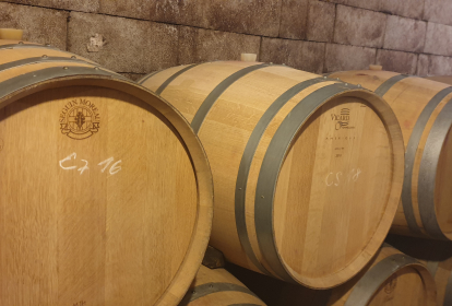 Bratislava Weintour und -probe image 5