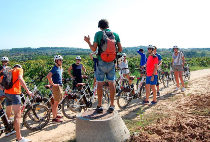 Barcelona E-Biketour in die Weinberge image 1