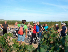 Barcelona E-Biketour in die Weinberge image 3