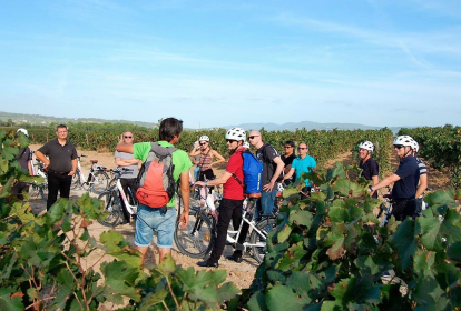 Barcelona E-Biketour in die Weinberge image 3