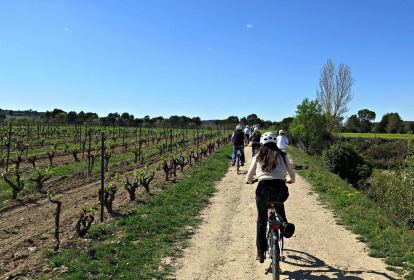 Barcelona E-Biketour in die Weinberge image 5