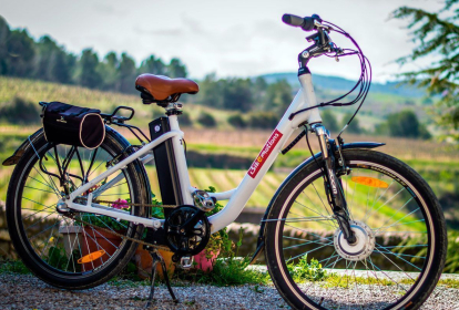 Barcelona E-Biketour in die Weinberge image 2