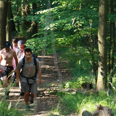 4H6eZGd2tGWfeRmIkF5HwO-uberleben-kurs-tschechische-republik-3-0.jpg image 3