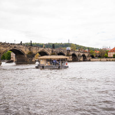 5-2-optimized.jpg image 4