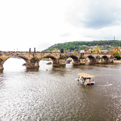 6-2-optimized.jpg image 5