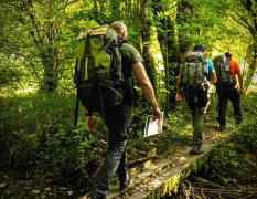 Straßburg Survival Bootcamp image 4