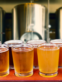 Pilsener Urquell Brauereiführung Pilsen