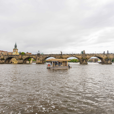 9-optimized.jpg image 11