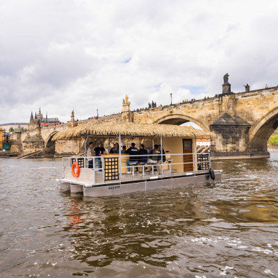 10-optimized.jpg image 10