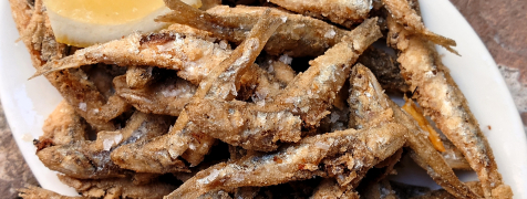 Barcelona Tapas Food Tour image 2