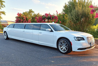Lissabon Limousine image 2