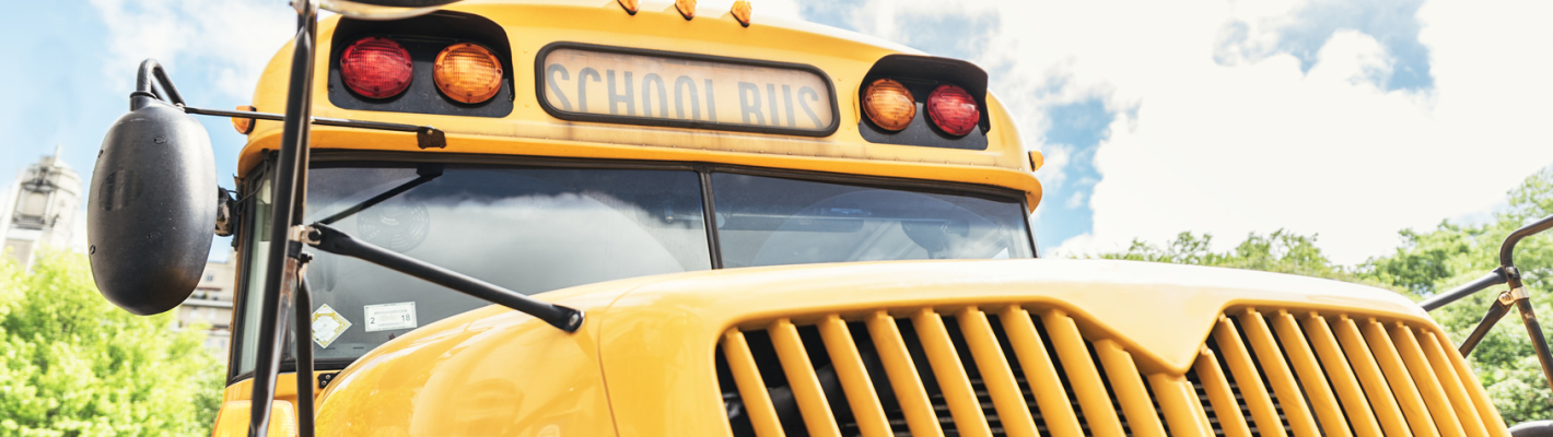 Frankfurt Partybus image 1