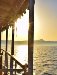Sunset Bootstour Mallorca