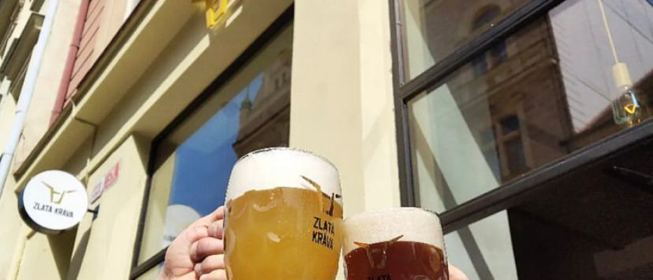 Hamburg Citybeering image 1