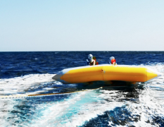 Barcelona Flyfish image 4