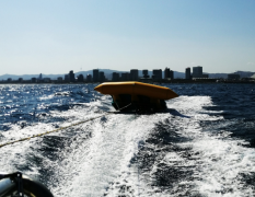 Barcelona Flyfish image 3