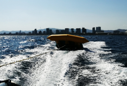 Barcelona Flyfish image 3