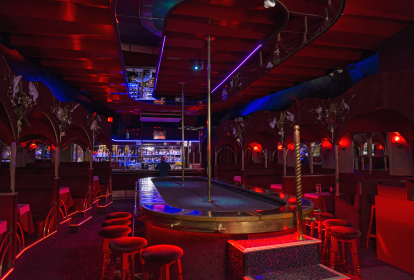 Budapest Bar- & Stripclubtour image 5