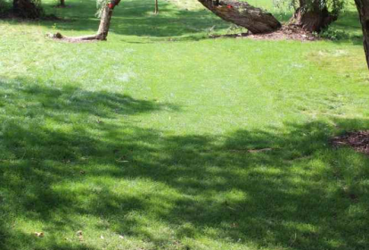 Prag Fußball-Golf image 6