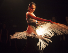 Barcelona Flamenco-Kurs image 4