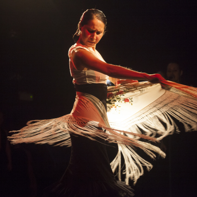 flamenco-class-2.jpg image 4