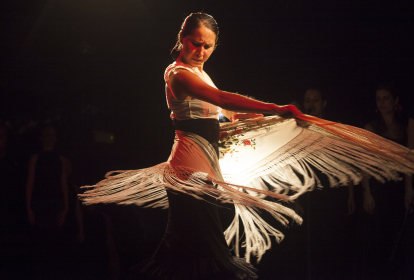 Barcelona Flamenco-Kurs image 4