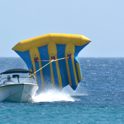 flyfish.png image 2