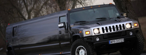 Danzig Hummer-Limo mit Stripperin image 2