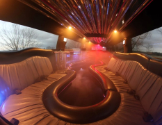 Danzig Hummer-Limo mit Stripperin image 3