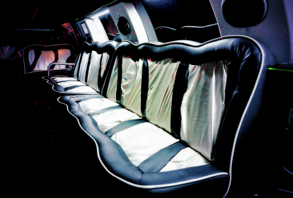 Danzig Hummer-Limo mit Stripperin image 10