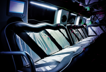 Danzig Hummer-Limo mit Stripperin image 15