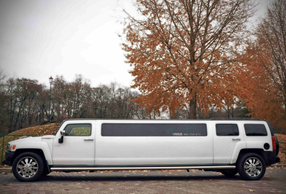 Danzig Hummer-Limo mit Stripperin image 14