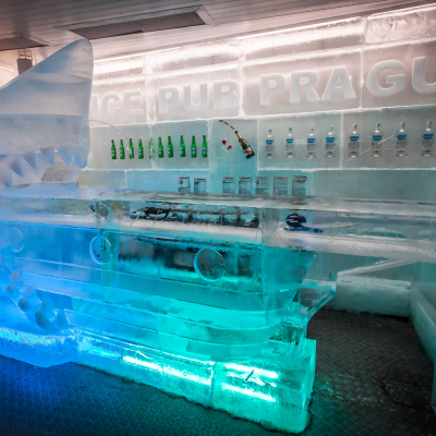 ice-pub-02-2016-10.jpg image 4