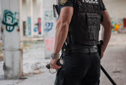 Wien Stripper image 2