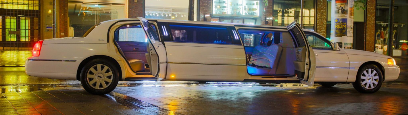 Stuttgart Limousine image 1