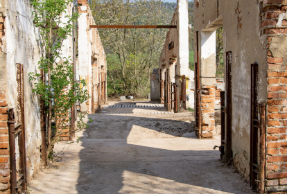 Böhmische Schweiz Outdoor-Paintball image 5