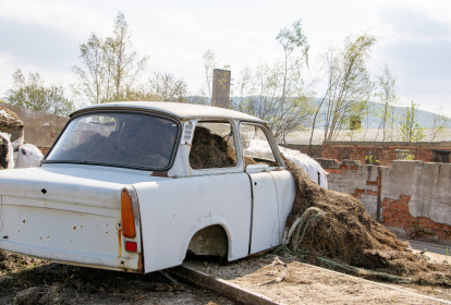 Böhmische Schweiz Outdoor-Paintball image 3