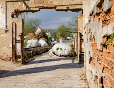 Böhmische Schweiz Outdoor-Paintball image 4