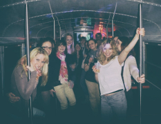 Stuttgart Strip-Partybus image 3