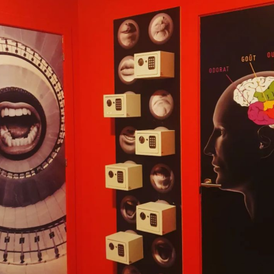 sensas-barcelona-5.png image 5