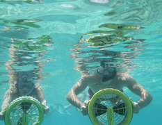 Ibiza Höhlen, Strände & Schnorchel - Bootstour image 4