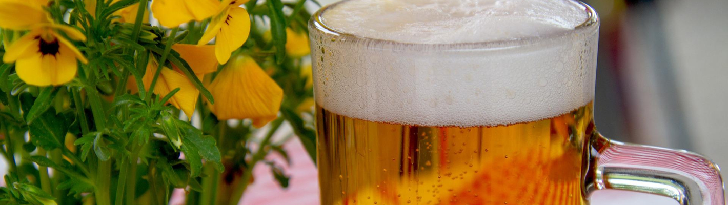 Hamburg Besuch auf den Wandsbeker Wiesn image 1