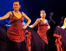 Barcelona Flamenco Dinner image 3