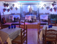 Barcelona Flamenco Dinner image 4