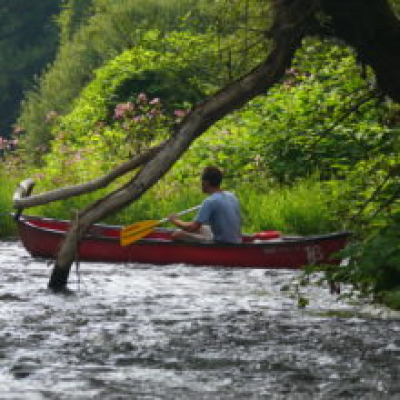 p1160644-220x220.jpg image 1