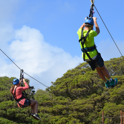 zipline-1270003-1920.jpg image 1