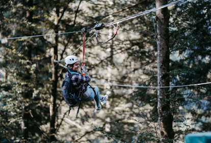 Schwarzwald  Zipline image 3