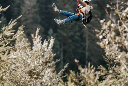 Schwarzwald  Zipline image 2
