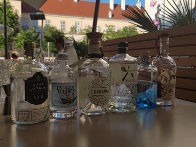 Gin Verkostung für Junggesellenabschied