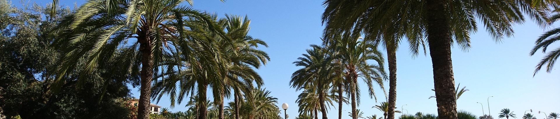 Junggesellenabschied Mallorca